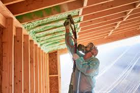 Eco-Friendly or Green Insulation Solutions in Flagler Estates, FL